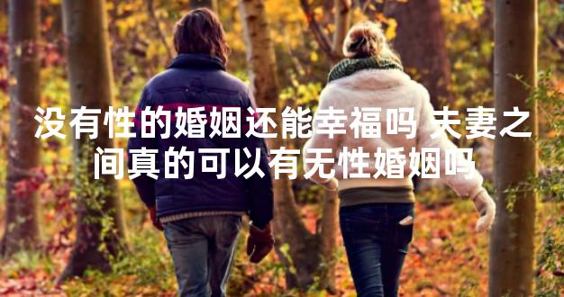 没有性的婚姻还能幸福吗 夫妻之间真的可以有无性婚